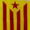 Bandera Estelada de mida normal