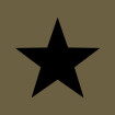 Samarreta estrella negra sobre verd